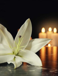 Photo of a white lilly with three candles burning in background